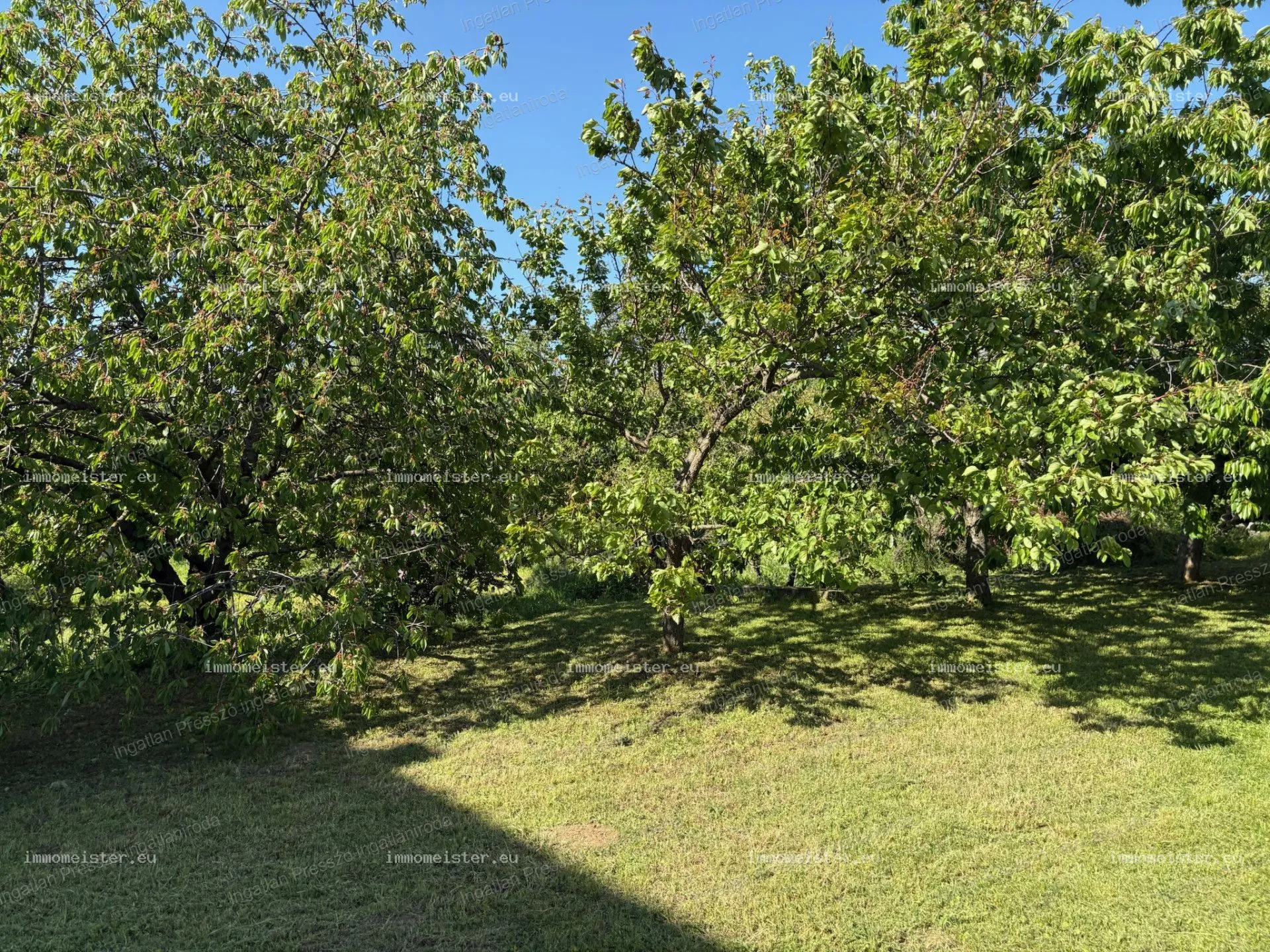 Property image 36