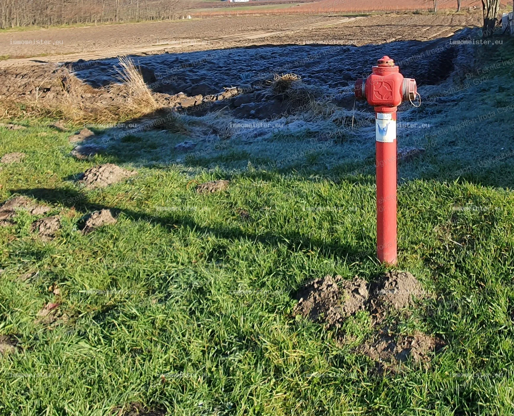 Természetközeli építési telek